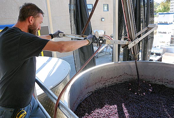 OurPass-Winemaking02