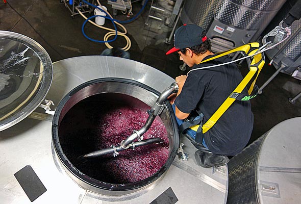 OurPass-Winemaking05